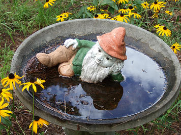 Birdbath gnome