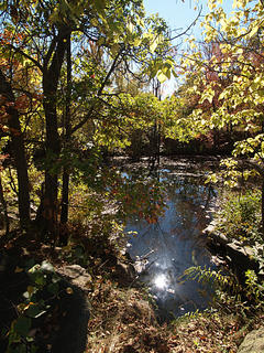 Sunlight on the water