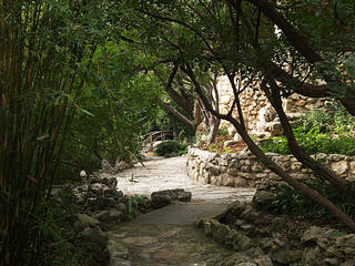 Bridge at Zilker park #2