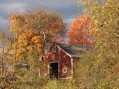 Barn in fall