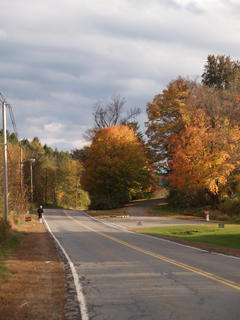 Jogger in fall