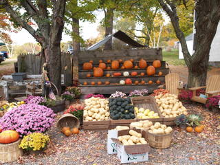 Fall vegtables