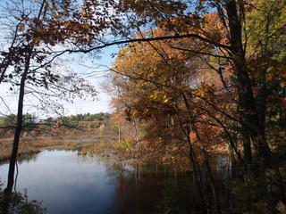 Spectacle Pond fall