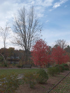 Sit and enjoy the fall