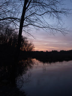 Sunset on Spectacle Pond