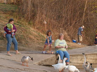 Feeding the ducks #2