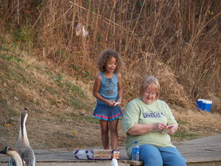 Feeding the ducks #4