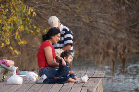 Feeding the ducks #5