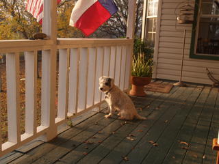 Guardian of the house