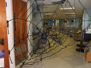 Do you have web access?