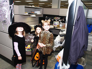 Tiger, Cat, and Witch