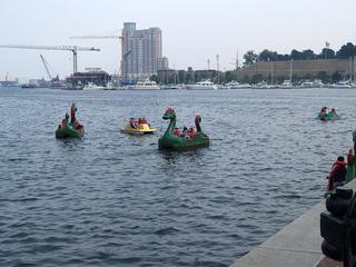 Dragon boats