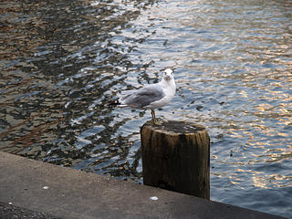 What are you looking at?