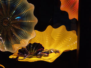 Glass sculpture of jellies