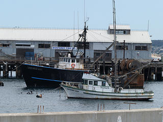 Fishing boats