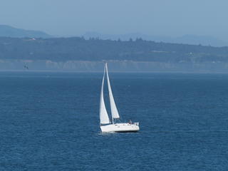Sailboat #5