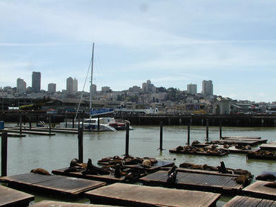 San Francisco harbor
