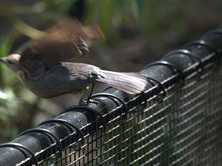 I'm going to blow this joint