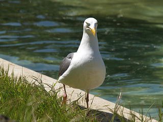 I've got my eye on you