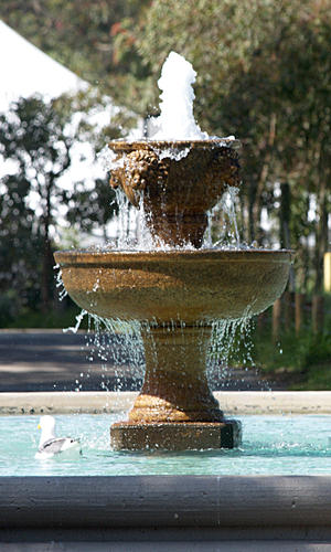 Fountain
