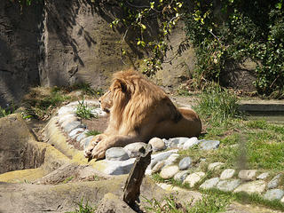 This is my good side