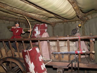 Here kitty, kitty, kitty