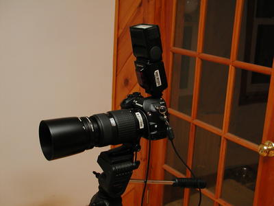 E-1, FL-50 fired straight up for ceiling bounce