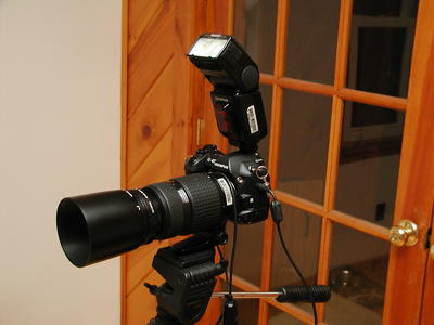 E-1, FL-50 ceiling bounce (45 degree angle)