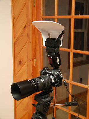 E-1, FL-50 with Lumiquest midi-bouncer