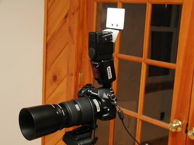 E-1, FL-50 with Flip-it, medium fill