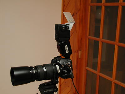 E-1, FL-50 with Flip-it, bounce card