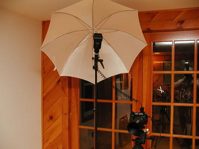 E-1, FL-50 with white bounce umbrella