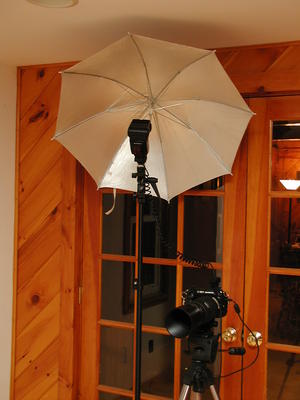 E-1, FL-50 with silver bounce umbrella