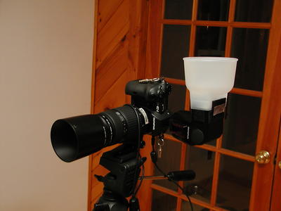 E-1, FL-50 with 1/2 lightsphere-II #3