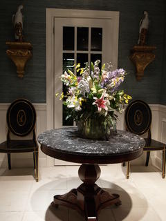 First Impression by Mollie Johnson