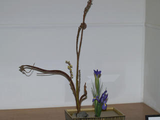 Ikenobo school by Martha Finger