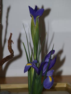 Ikenobo school by Martha Finger #2