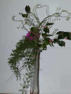 Sogetsu school by Dora Lee