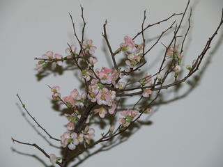 Sogetsu school by Jean Mangiafico #2