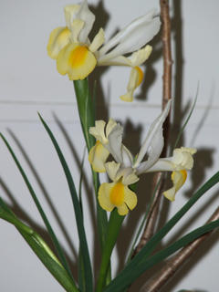 Sogetsu school by Antoinette Drouart #2