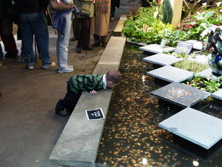 Wow, look at all of the coins!