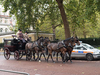 Horse drawn hearse