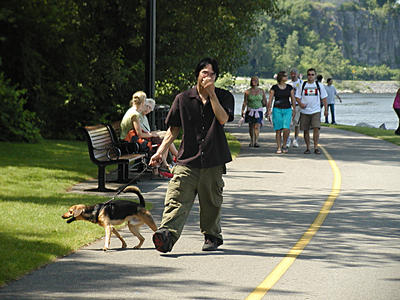 Over here, over here!