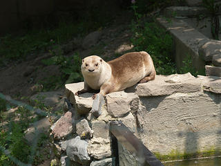 Are you looking at me?