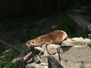 I'm going to sneak up on him