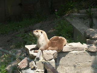 This is my good side