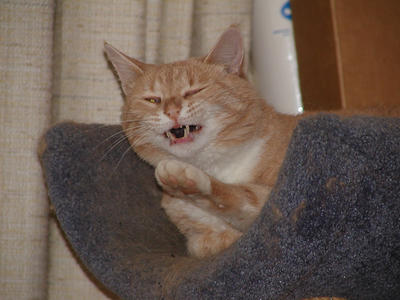 Stop taking pictures!