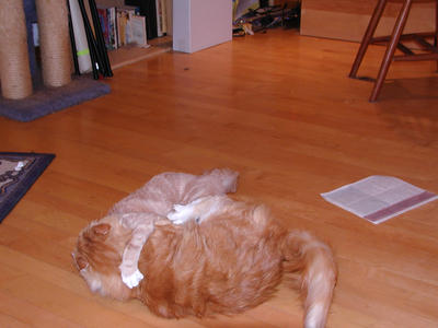 America and Aerosmith playing