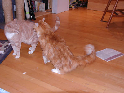 America and Aerosmith