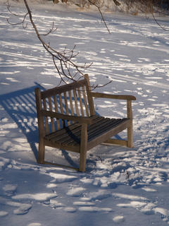 Waiting for spring #2